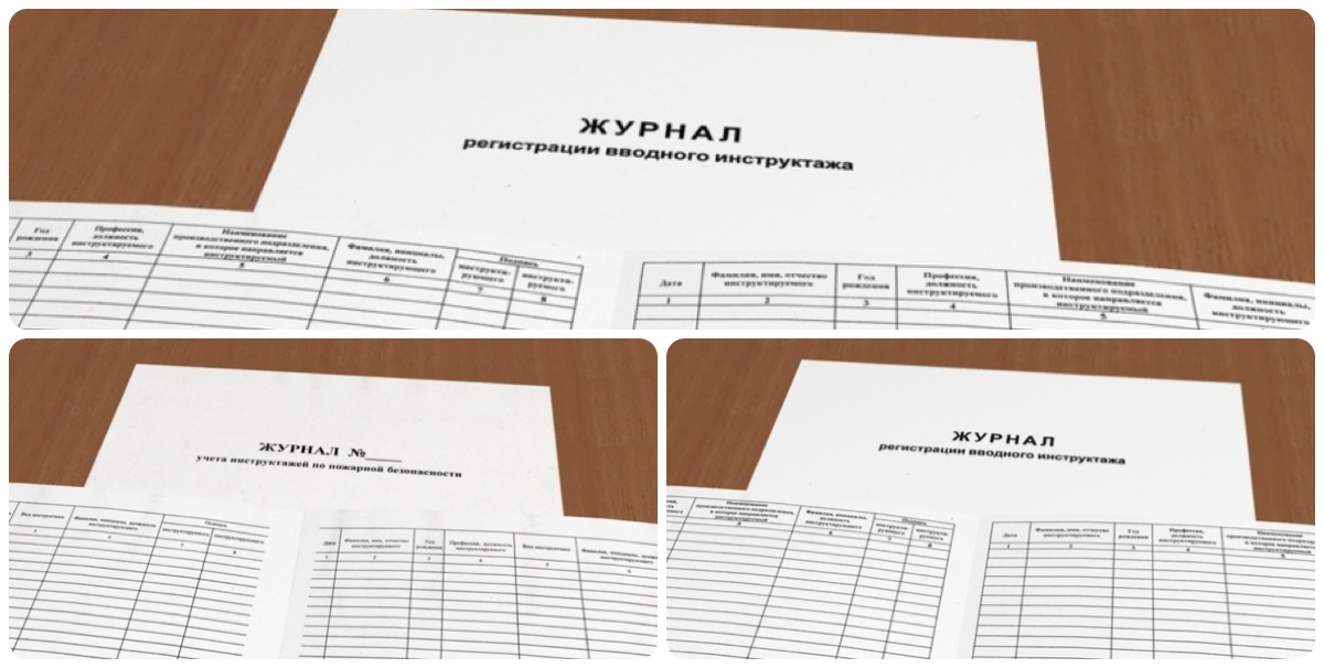 Вводный журнал по охране труда купить в Братске